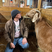 Load image into Gallery viewer, Barn Friends T-shirt