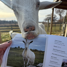 Load image into Gallery viewer, 2026 Barn Sanctuary Calendar