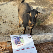 Load image into Gallery viewer, 2026 Barn Sanctuary Calendar