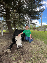 Load image into Gallery viewer, Hug a Cow Tee YOUTH - Green