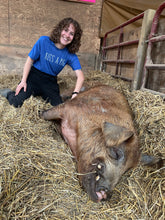 Load image into Gallery viewer, Adopt a Pig + Kiss A Pig T-Shirt Bundle
