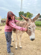 Load image into Gallery viewer, "Compassion Lives Here" Crewneck Sweatshirt - Maroon