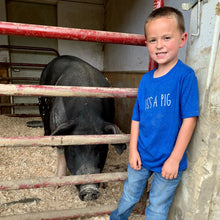 Load image into Gallery viewer, Kiss A Pig YOUTH - Blue