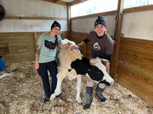 Load image into Gallery viewer, Barn Logo Beanie - Charcoal