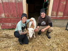 Load image into Gallery viewer, Barn Logo Beanie - Charcoal