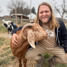 Load image into Gallery viewer, Barn Logo T-Shirt - Tan
