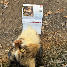 Load image into Gallery viewer, 2026 Barn Sanctuary Calendar

