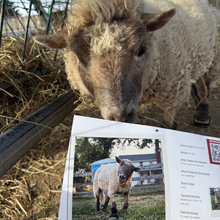 Load image into Gallery viewer, 2026 Barn Sanctuary Calendar
