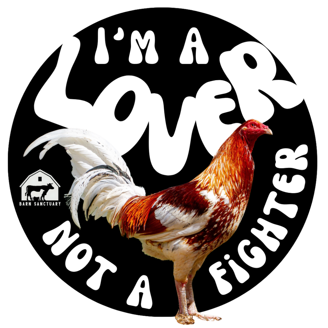 I'm a Lover, Not a Fighter Sticker