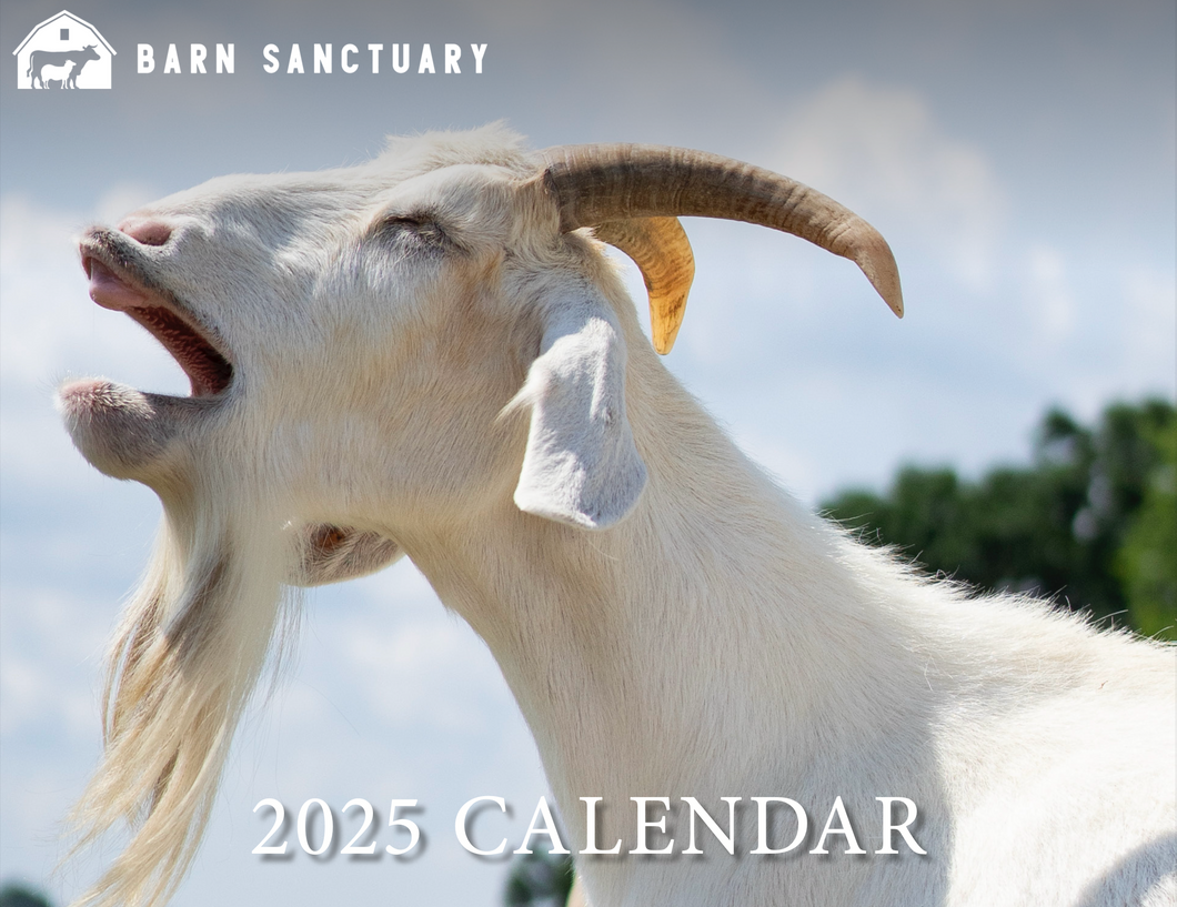 NEW 2025 Barn Sanctuary Calendar