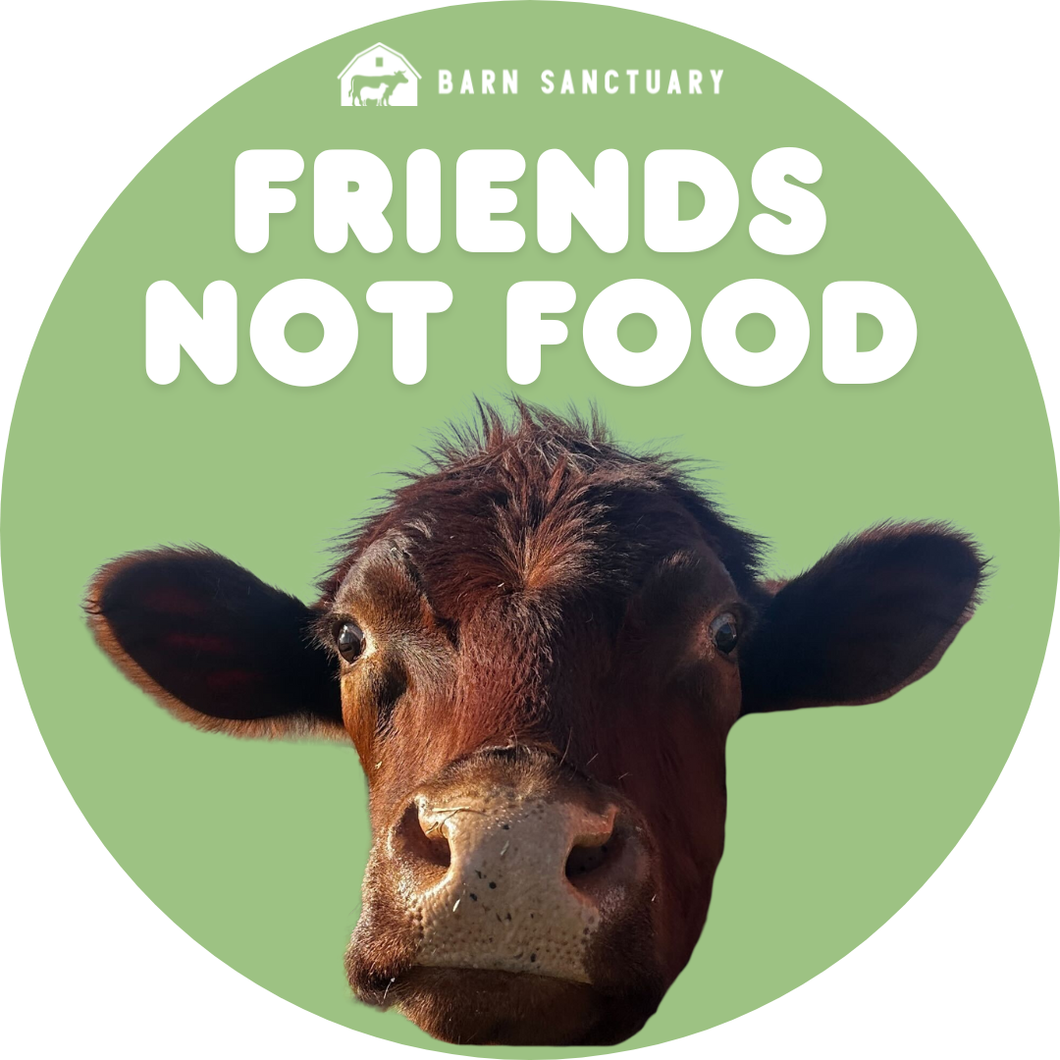 Charles Friends Not Food Sticker