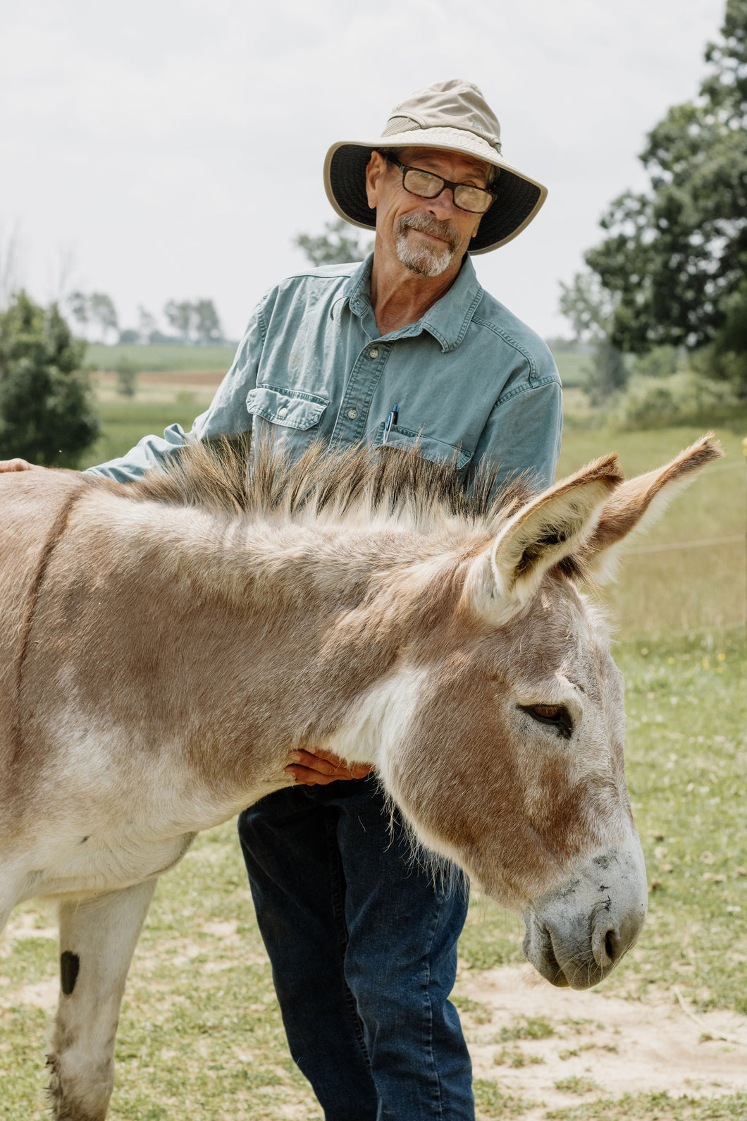 Barn Sanctuary Private Tour Gift Certificate
