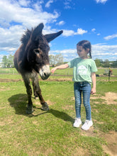 Load image into Gallery viewer, Barn Logo Toddler T-shirt, &quot;This Farm is a Family&quot; Book, and Lola Barn Buddy Bundle
