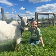 Load image into Gallery viewer, Barn Logo Toddler T-shirt
