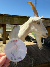 Load image into Gallery viewer, Be Kind To All Kinds Hugo Glitter Sticker
