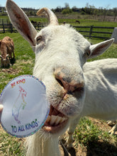 Load image into Gallery viewer, Be Kind To All Kinds Hugo Glitter Sticker
