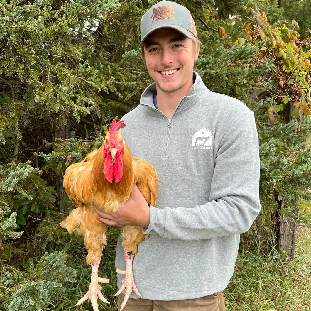 Barn Logo Quarter Zip Fleece - Heather Gray