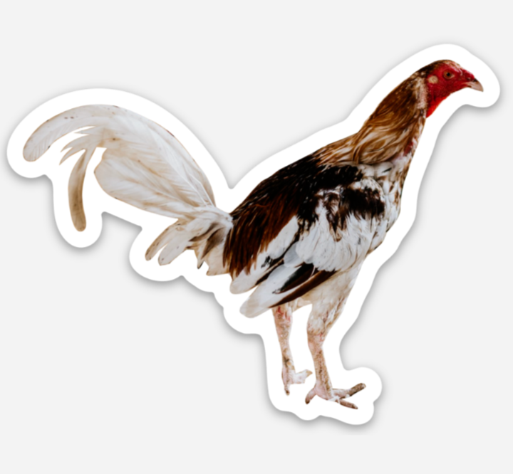 Strauss Chicken Sticker