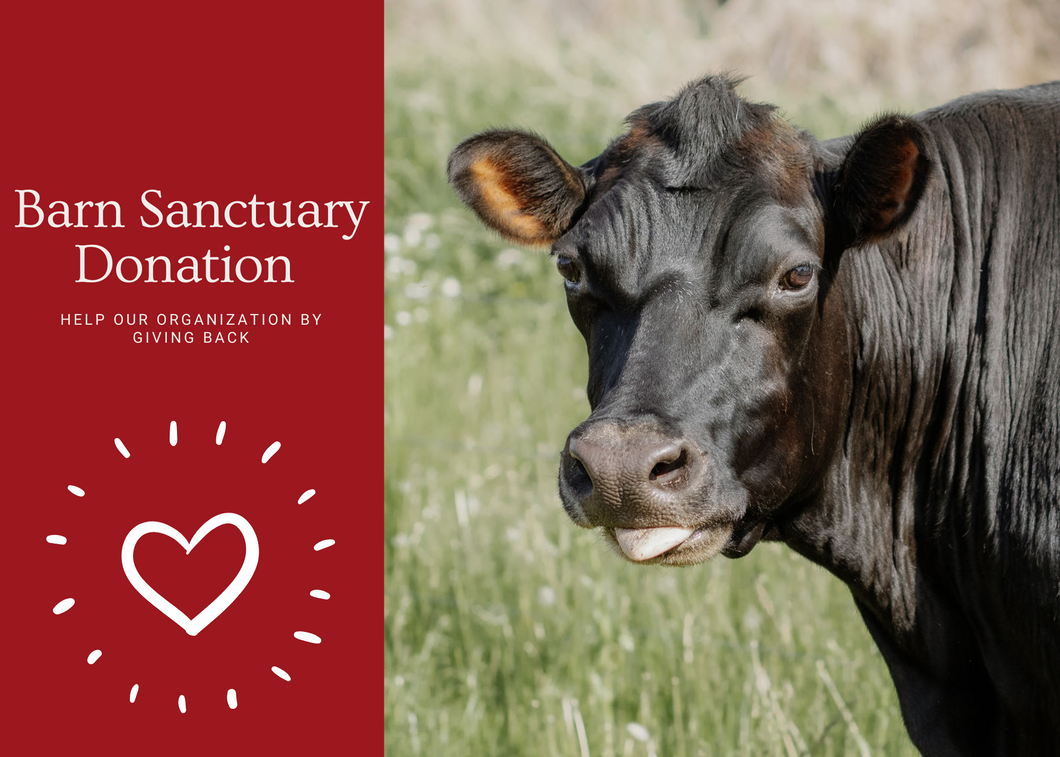 Barn Sanctuary Donation