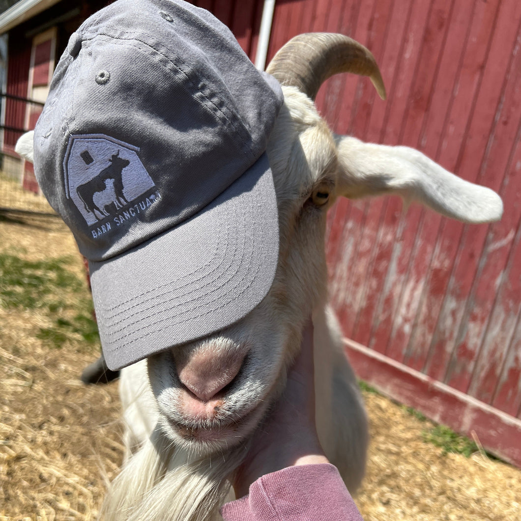 Barn Logo Dad Hat - Light Gray