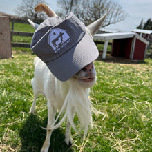 Load image into Gallery viewer, Barn Logo Dad Hat - Light Gray
