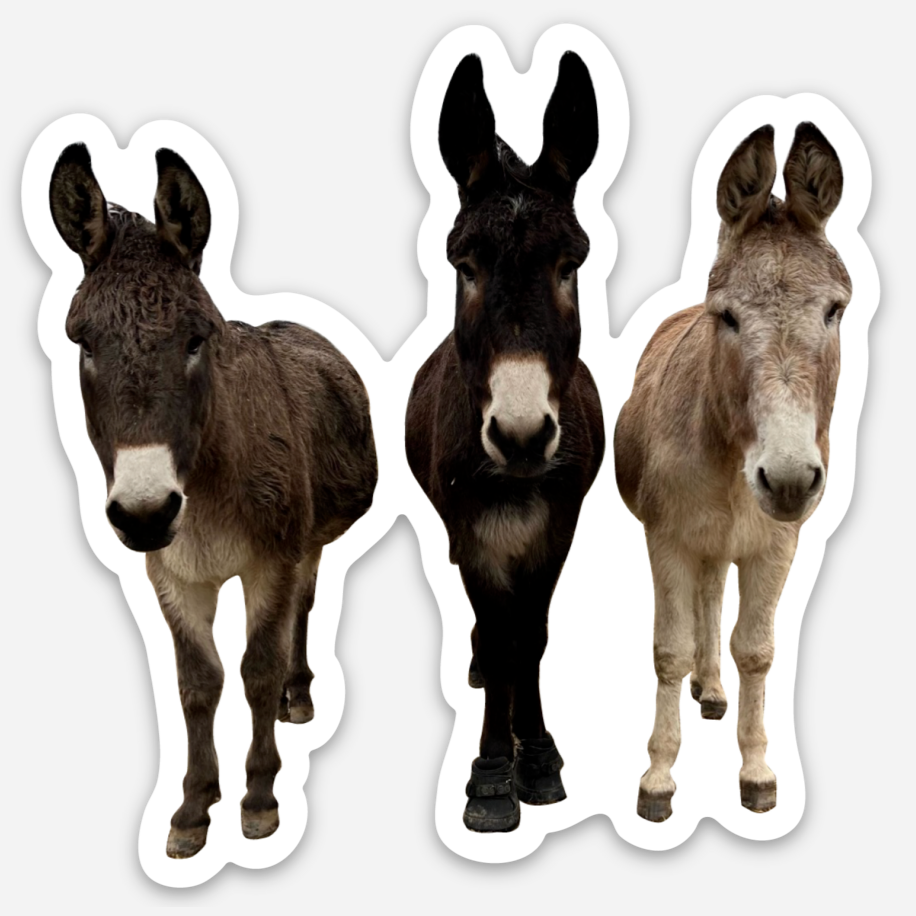 Axle, Mary Pete, Siggie Donkey Sticker