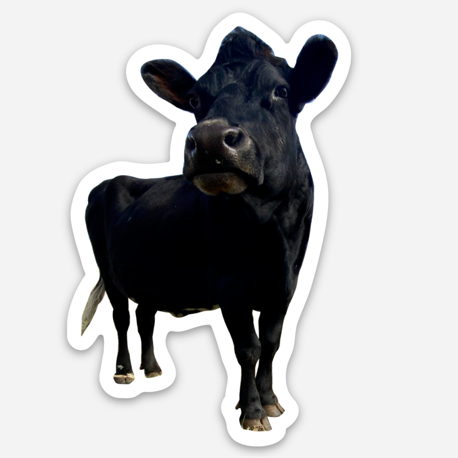 Buttercup Cow Sticker