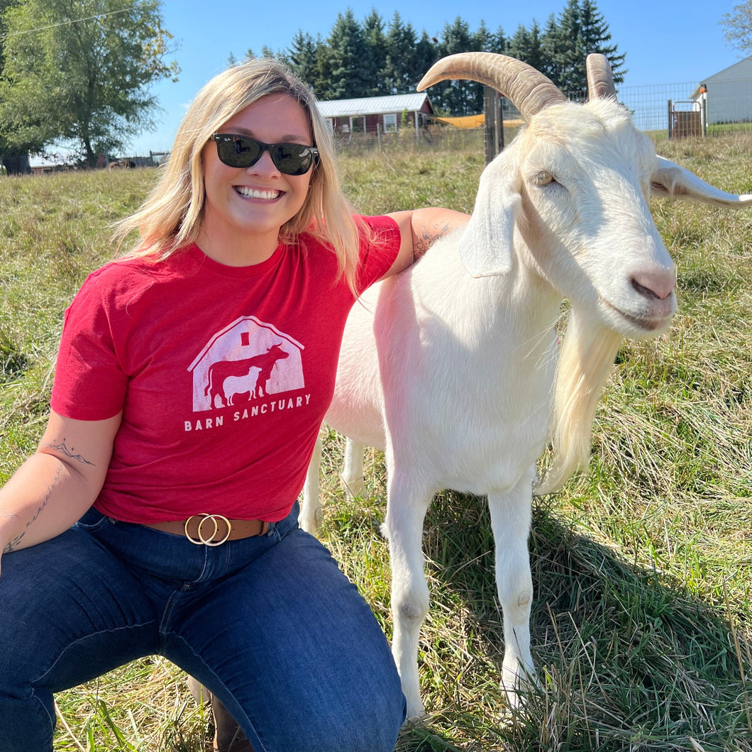 Barn Logo T-Shirt - Red